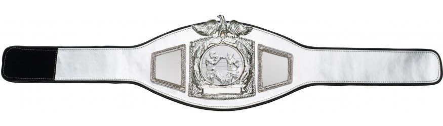 PROEAGLE BOXING CHAMPIONSHIP BELT - PROEAGLE/S/BOXS - AVAILABLE IN 6+ COLOURS